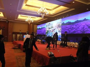 北京丰台区专业LED大屏幕搭建租赁服务，助力高端会议与展览